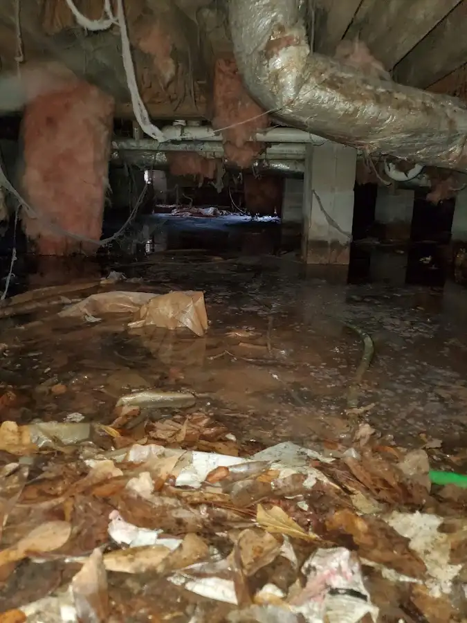 Crawl space flood assessment for Leak Detection & Repair in White House